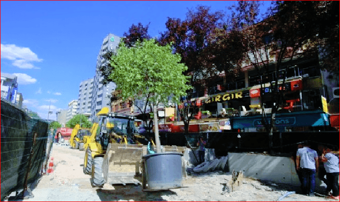 Yavaş’tan dikkat çeken adım: Melih Gökçek’in 26 bin 500 TL’ye aldığı ağaçlar ibret-i alem için Kızılay’a dikildi