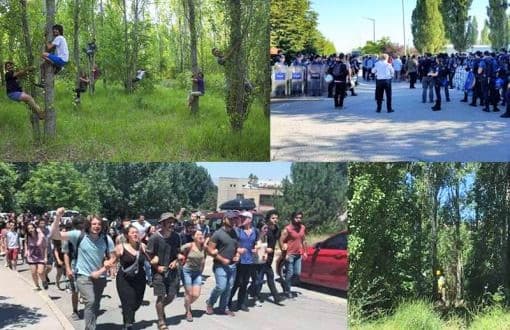 Direnişi büyüyor: ODTÜ’lüler KYK yurduna karşı Kavaklığa fidan dikti