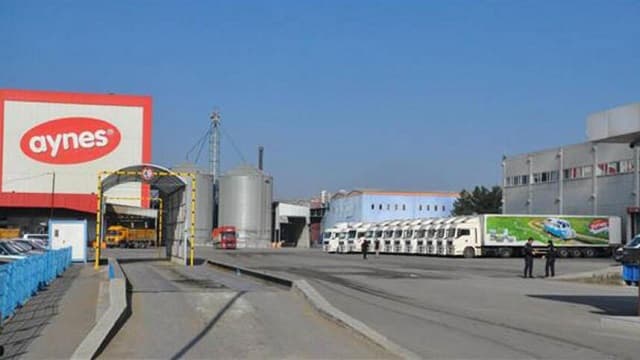 Sürat Kargo’yu Bilal Erdoğan’ın yakınına devretmişti: TMSF, Aynes Gıda’yı da satışa çıkardı