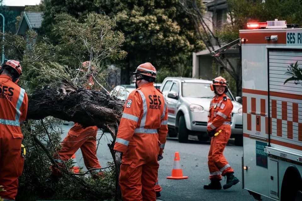 Victoria’da şiddetli rüzgârlar hayatı felç etti