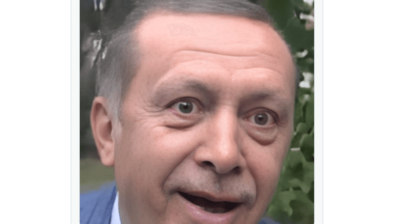 Demirtaş, Erdoğan’a: “Selo, Selo” diye kuyruğuna basılmış kedi gibi miyavlayıp duruyor