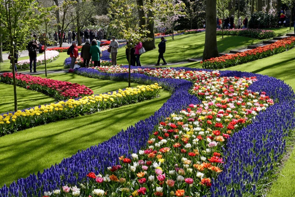 Dünyanın en büyük çiçek parkı Keukenhof, 75. kez açıldı