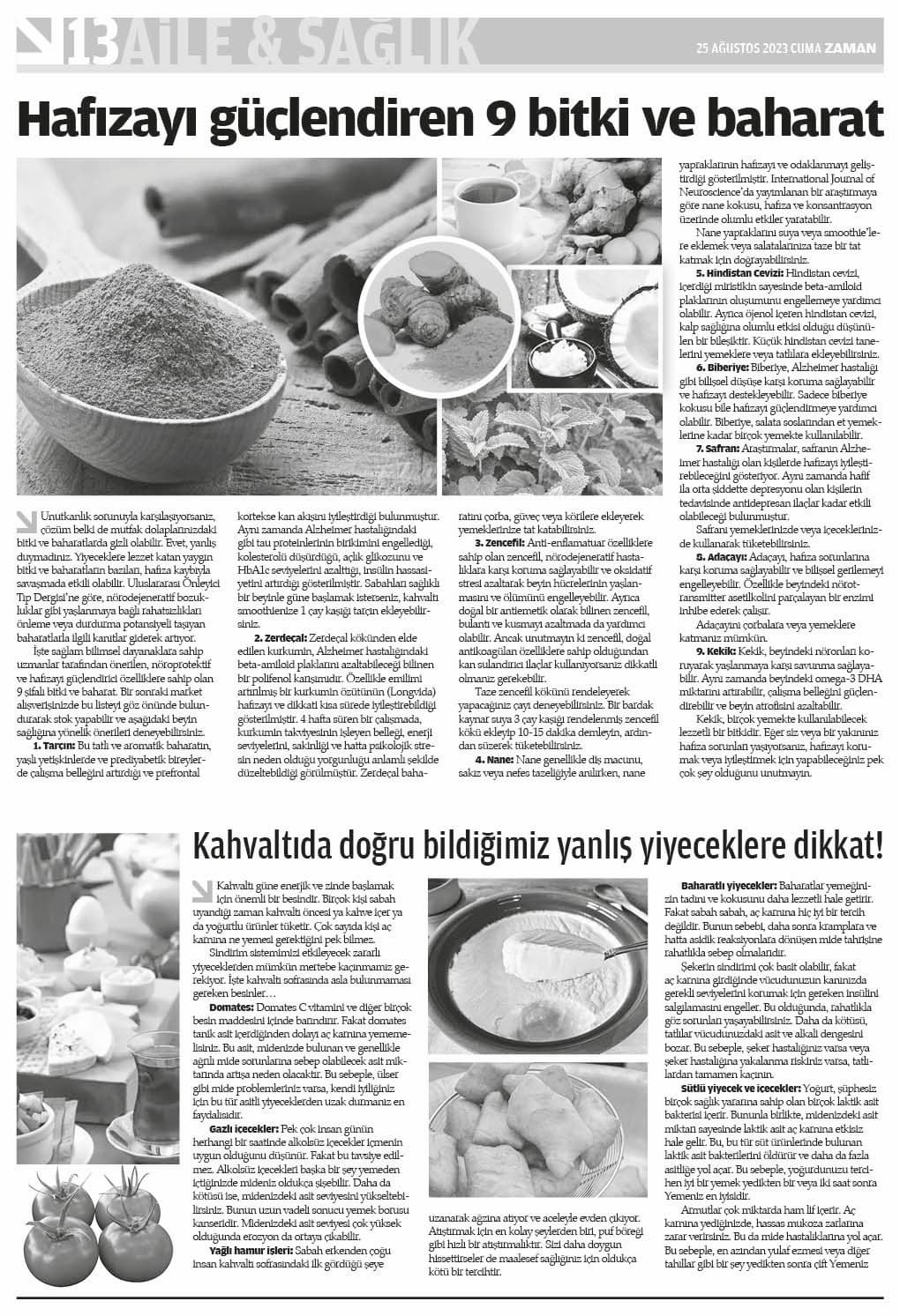 Sayı 5, sayfa 13