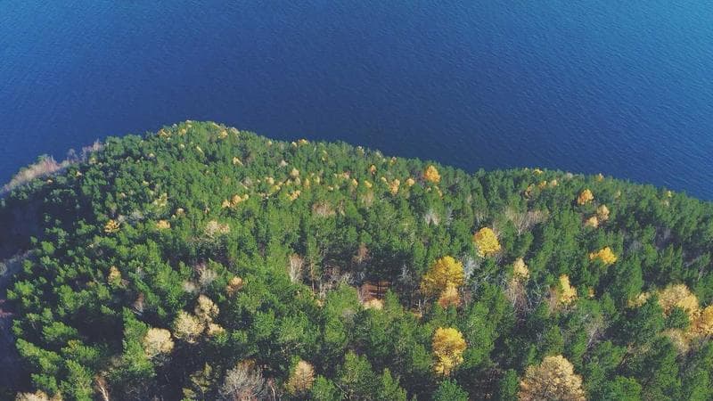 Avustralya ‘ulusal güvenlik’ dedi, iptal etti