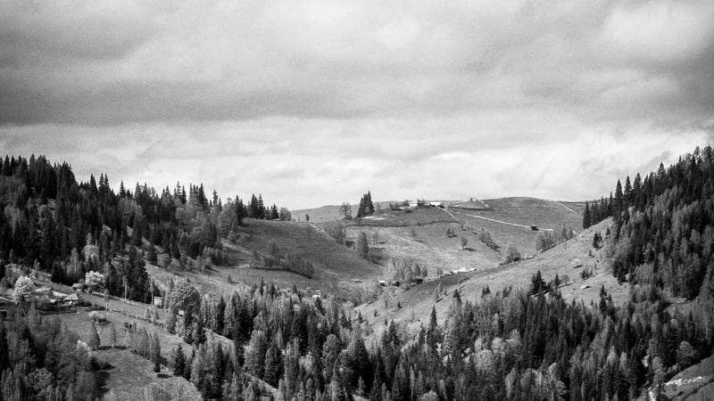 Kazakistan’da, Kopuz melodileriyle depresyon tedavisi