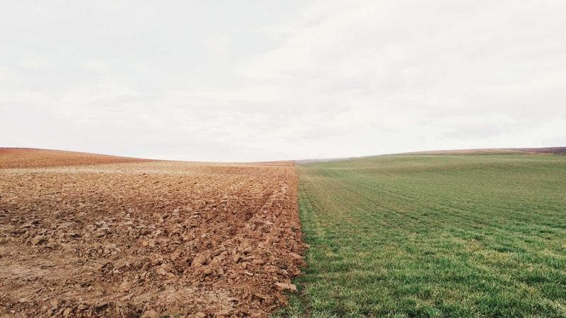 Yeni Zelanda’ya gitmek için 10 neden