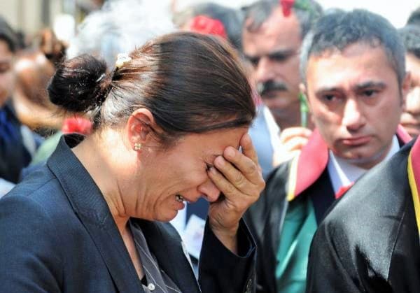 Türkan Elçi: Kesmeselerdi ağaçları göçmeyecekti kuşlar
