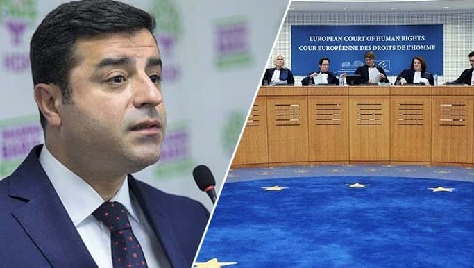 Hukuk Profesörü Akdeniz: AİHM’in ‘Demirtaş’ kararı bir ilk