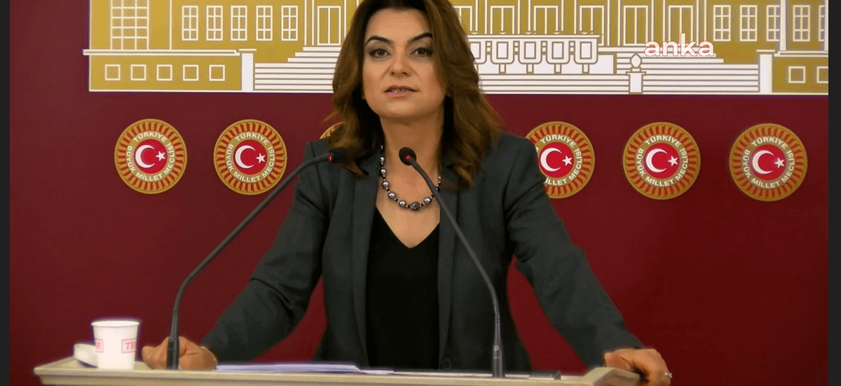 DEM Parti Grup Başkanvekili Koçyiğit:‘Yenidoğan Çetesi’nin sorumlusu AKP iktidarı değil mi?
