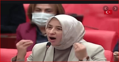 AKP’li Özlem Zengin’den itiraf: İsrail ’e giden petrolden varil başına 1,27 dolar komisyon alıyoruz
