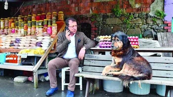 Ekrem İmamoğlu’ndan AKP’ye ‘sokak hayvanları’ çağrısı: Bu yanlıştan dönün, bunu milletimize yapmayın