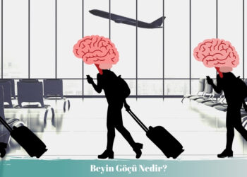 TÜRKİYE’NİN BEYİN GÖÇÜ RAPORU: İKİ YILDA 113 BİN KİŞİ YURT DIŞINA GÖÇ ETTİ