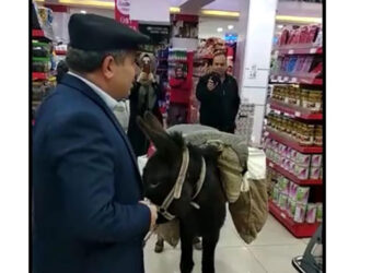 Markette eşekli protestoya ceza yağdı!