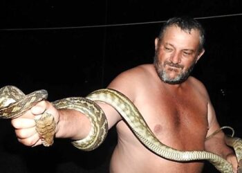 Dev pitonun saldırısına uğrayan oğlunu Kahraman baba, son anda kurtardı