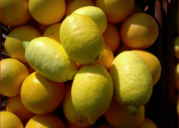 Stok nedeniyle, Avustralya’da  limon fiyatı eti geride bıraktı