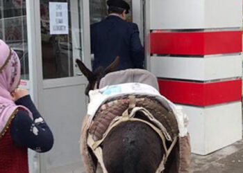 Paralı poşeti protesto için alışverişe eşekle gitti