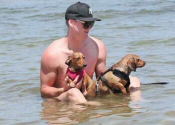 Sıcaklar 45 dereceyi bulacak: Eyalet Hükümet’leri sıcak havalar nedeniyle vatandaşları uyardı