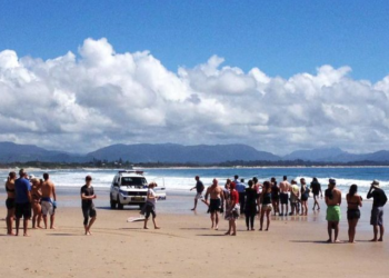 Sörfçü hastaneye kaldırıldı:  NSW Eyaleti’nde yine köpek balığı saldırdı, bacağından parça kopardı