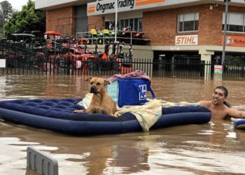 Queensland’de selin bilançosu ağır: 500 ev sular altında, 20 bin ev daha risk altında