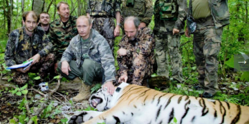 ‘Putin kaplan avladı’ haberi ‘uluslararası palavra’ ödülü kazandı