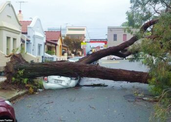 Sydney’deki fırtına 40 bin ev ve iş yerini elektriksiz bıraktı