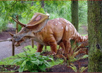 Yeni bir dinozor türü keşfedildi