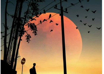 Ebu Süleyman Darani