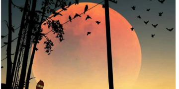 Ebu Süleyman Darani