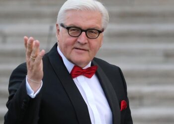 Almanya Cumhurbaşkanı Steinmeier: YSK ikna edici bir gerekçe sunmadı