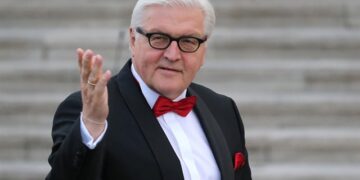 Almanya Cumhurbaşkanı Steinmeier: YSK ikna edici bir gerekçe sunmadı