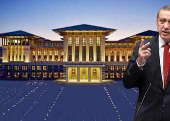 Cumhurbaşkanı danışmanına ‘danışman’ atandı