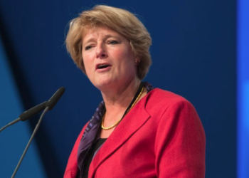 Almanya Kültür Bakanı’ndan SETA’nın raporuna tepki