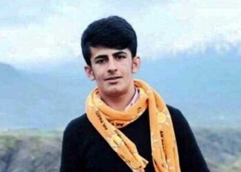 HDP’den ‘İkinci Roboski’ saldırısana tepki: 14 yaşındaki Vedat Ekinci’nin ölümüne neden olanlar görevden alınsın