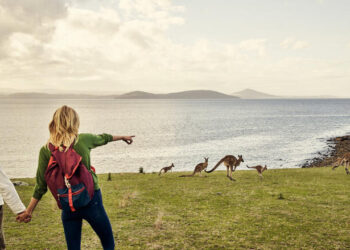 Avustralya Ulusal Üniversitesi: Küresel ısınmayla birlikte Avustralya’da kış tamamen bitiyor