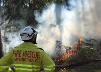 Avustralya’da NSW ve Queensland Eyaletlerinde acil  durum: 21 ev yandı, binlerce kişi tahliye edildi