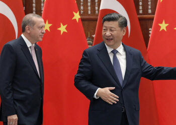 Çin’den Türkiye’ye: Suriye operasyonunu durdurun