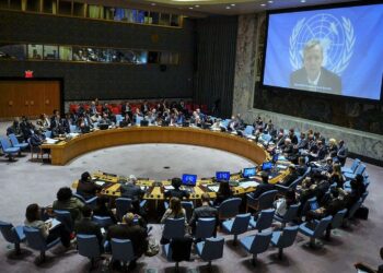 BM’de 5 AB ülkesinden Türkiye çağrısı: Harekatı durdur