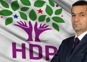 HDP’li Aydemir, Meclis’te Zazaca konuştu: AKP ve MHP’liler itiraz etti ‘ırkçılık’ dedi