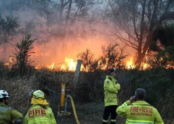 Orman yangınları devam ediyor: Yangın söndürme helikopteri düştü