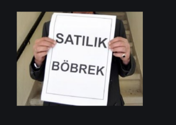 KHK’lı askerin çaresizliği: Eşim böbrek satmak ne kadar diye araştırıyor