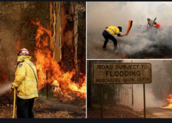 Sydney’de is yağıyor: Bazı bölgelerde ‘acil durum’ çağrısı yapıldı