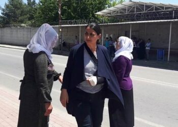 Türkiye’de Mahkeme’lerin geldiği nokta: Polisin milletvekilinin kolunu kırması hukuka uygun