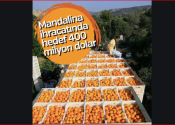 Rusya tek seferde 250 ton mandalinayı geri gönderdi