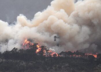 Yangınların dumanları Brezilya’ya ulaştı