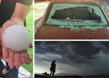 Avustralya Sigorta Konseyi: Dolu felaketinin maliyeti 320 milyon dolar