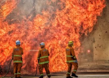 Yangınlarda ölenlerin sayısı 23’e yükseldi: ABD’li şarkıcıdan 500 bin dolar sözü
