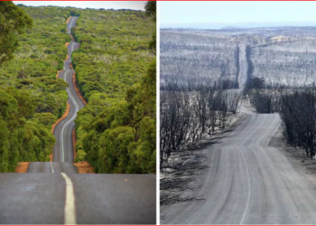 Yangın öncesi  ve sonrasına ilişkin fotoğraflarla iç sızlatan görüntüler