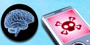 Araştırma: Akıllı telefon bağımlılığının beyne verdiği hasarı ortaya çıkardı