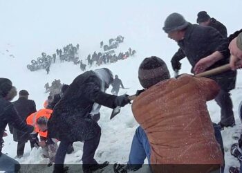 Cumhur çığ altında,Reis çay keyfinde: Van’da 33 kişinin can verdiği gün, Erdoğan  keyif çayı dağıttı