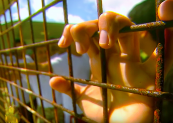 Bir imza da senden: ‘Siyasi mahpuslara eşit indirim’ imza kampanyası çığ gibi büyüyor